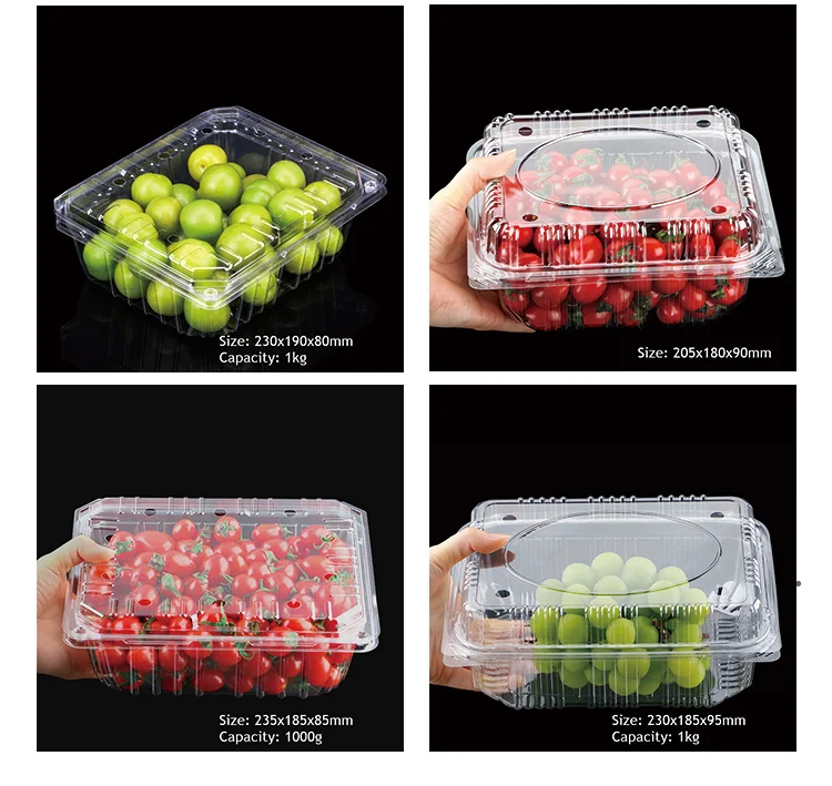 Plastic Blister Clamshell Food Eco-friendly Disposable