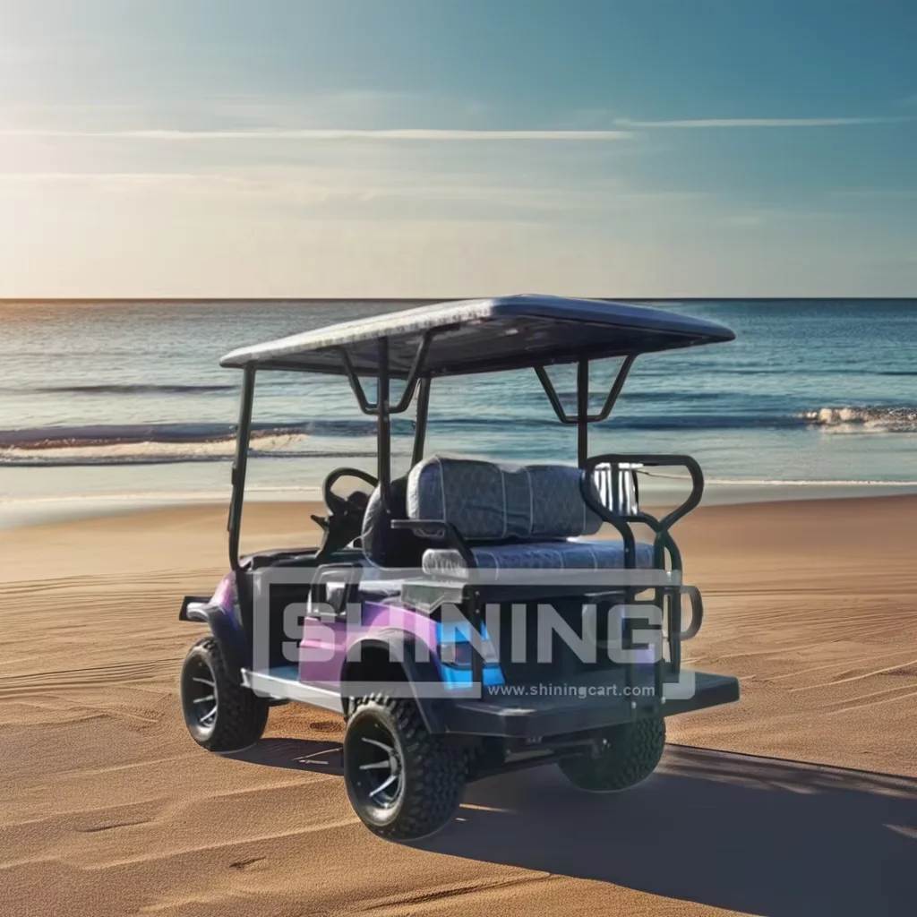 Shining Brand high degree club car electric differential four seat golf cart