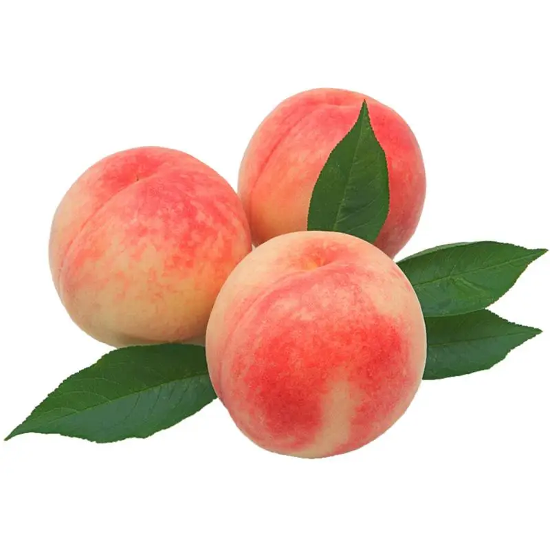 
Wholesale sweet juicy stone fruit 100% maturity class A natural Chinese fresh peaches 