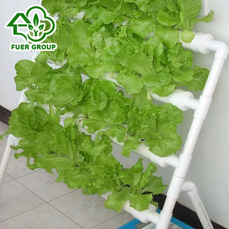 Multi-span Glass Greenhouse Nft vertical Hydroponics for Strawberry Planting