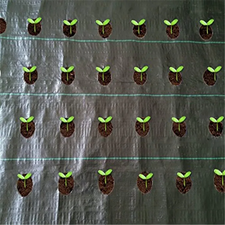 Black 100g/m2 factory direct selling ground cover for greenhouse