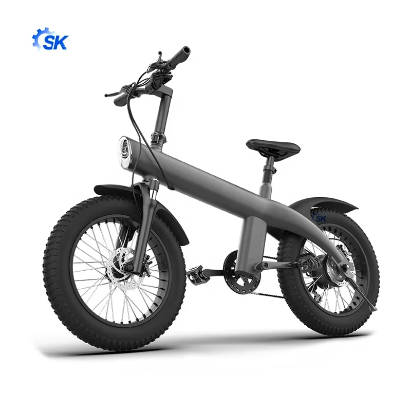 Compact discount 750W 1000W big power  electric Mountain E bike/Snow bike/electric bicycle