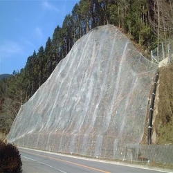 Galvanized Rockfall Barrier Mesh/Slope Protection Net/Stone Falling Protective Netting