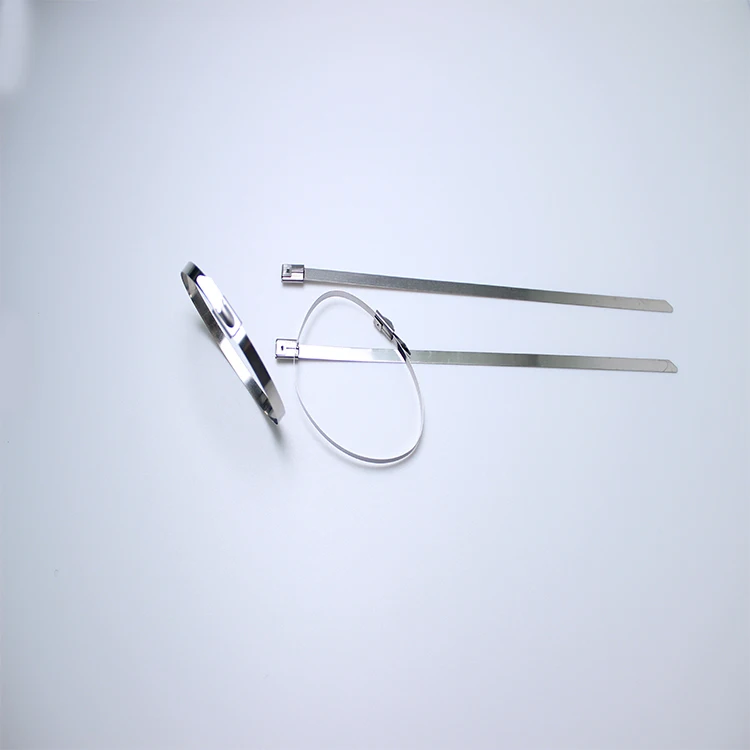 
Free Sample Full Size 304 316 Stainless Steel Cable Tie 