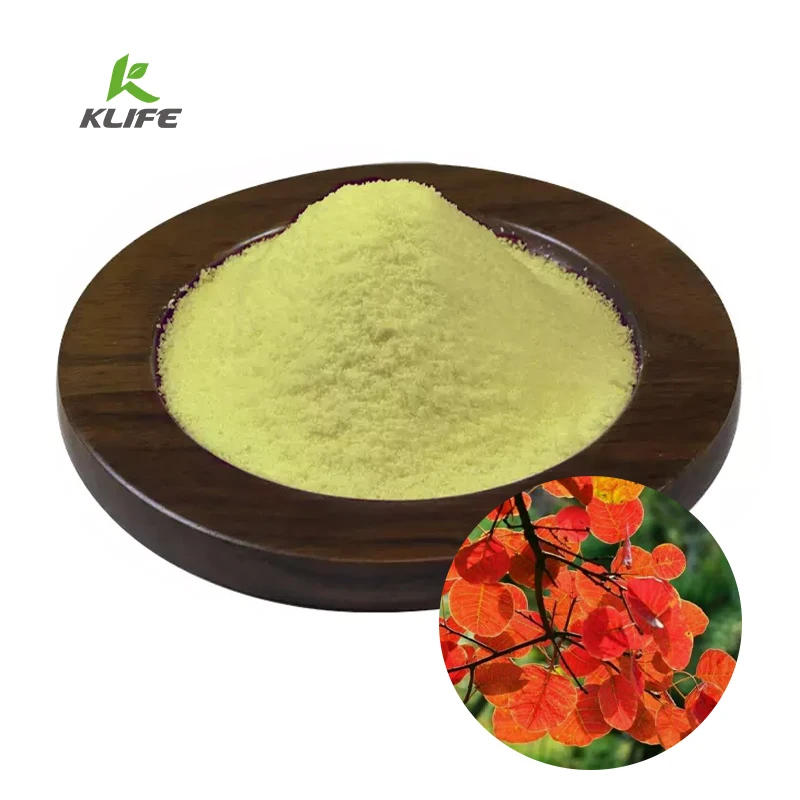 100% чистая добавка объемный экстракт Buxus Sinica порошок фисетина 10% 50% 98%