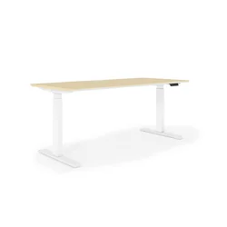 Home Office Desk Frame Ergonomic Electric Stand Up Motorized Adjustable Height Standing Desk