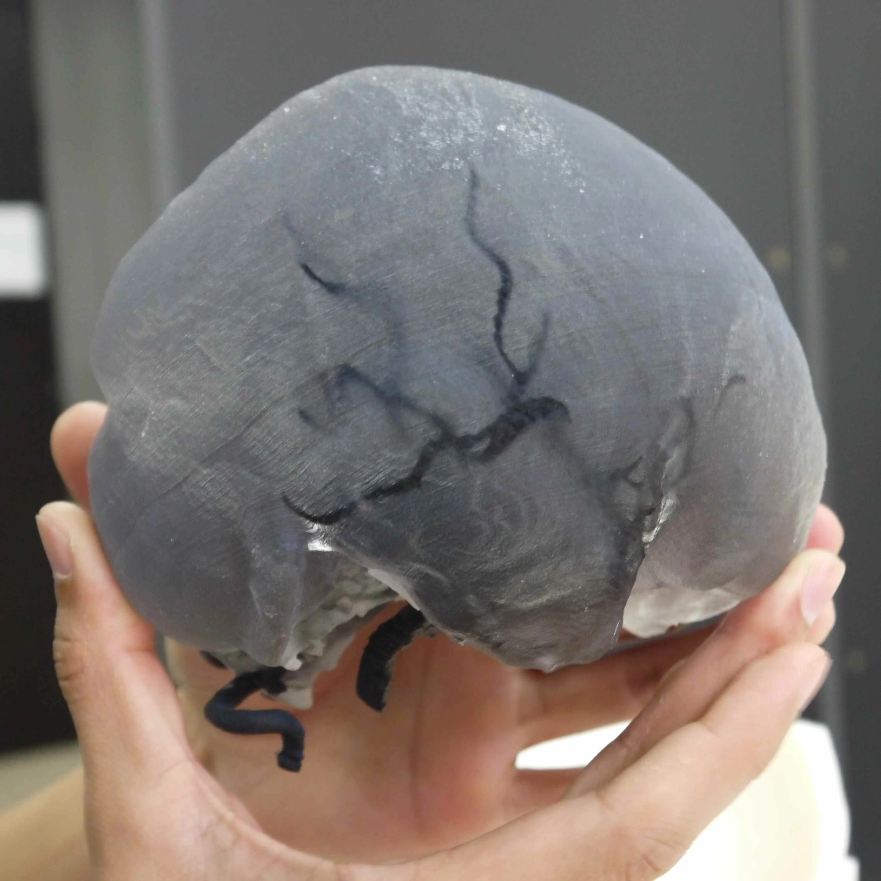 3d print skull polyjet clear transparent full color medical educational application smooth resin good quality