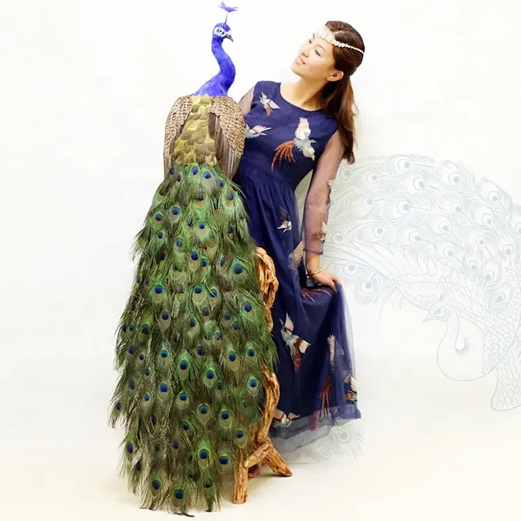 New Style Wedding Photography Welcome Area Decoration Artificial White Peacock For Exhibition