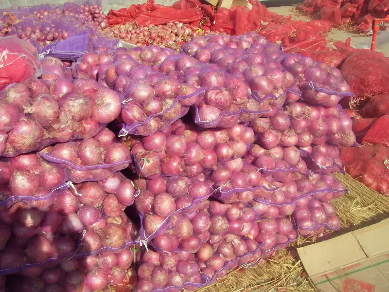 Red Onion Style GLOBAL GAP Weight Origin Type Shape Product Fresh Place Model HACCP Round Maturity Cultivation Common Peeled