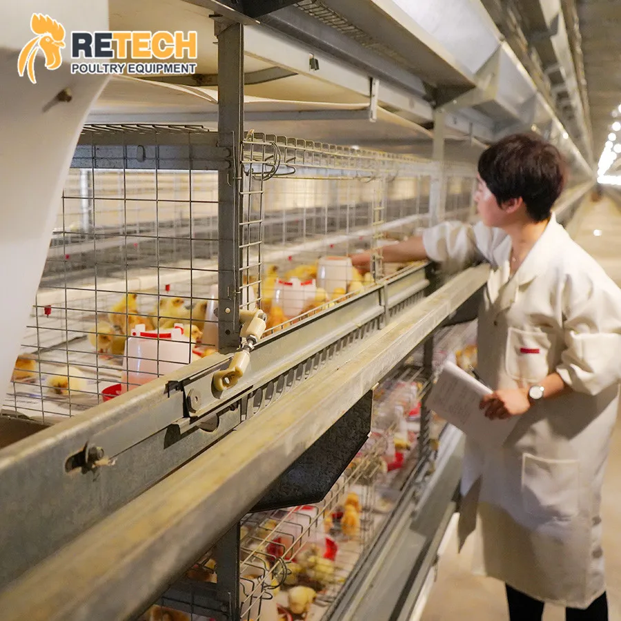 2018 высокое качество бройлерная птицефабрика Сарай Дизайн Оборудования Клетке