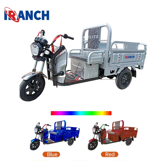 600W Electric Motor 3-Wheel Electric Rickshaw Electric Tricycle Motorcycle 60V Voltage Cargo Passenger Use Certified EEC DOT