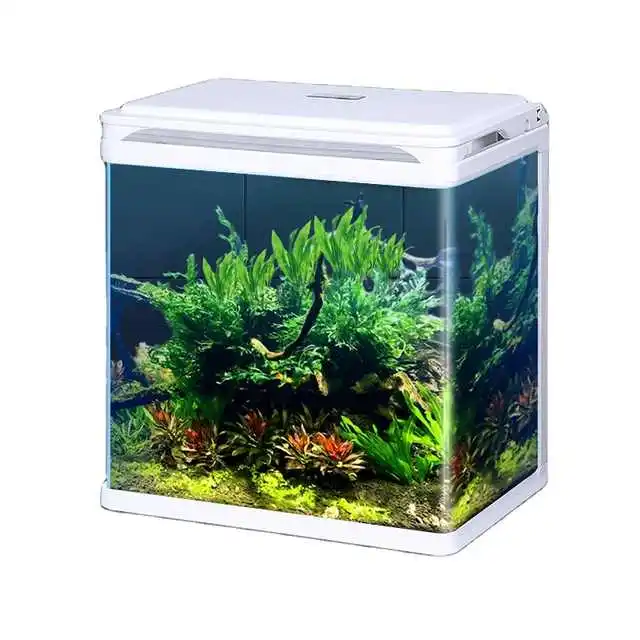 Wholesale fashionable small fish tank aquarium with round corners led light