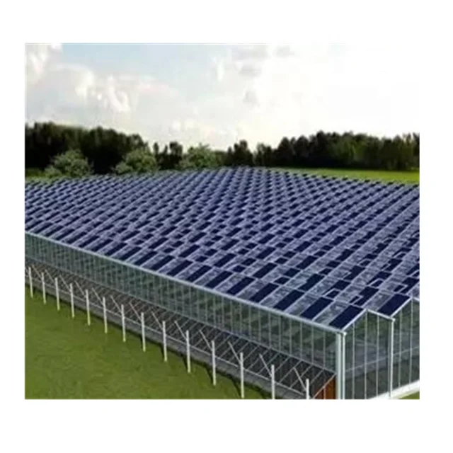 Solar Panel Greenhouse Solar Green House Solar Powered Greenhouse