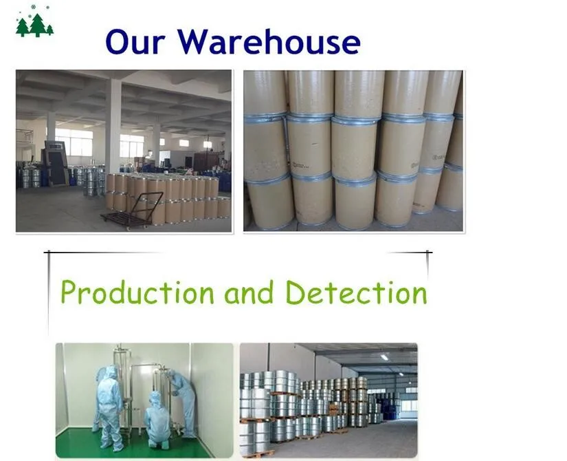 OEM Good Price Organic Clove Oil 100% Pure & Natural Clove Oil High Quality Wholesale Clove Leaf Oil Private Label