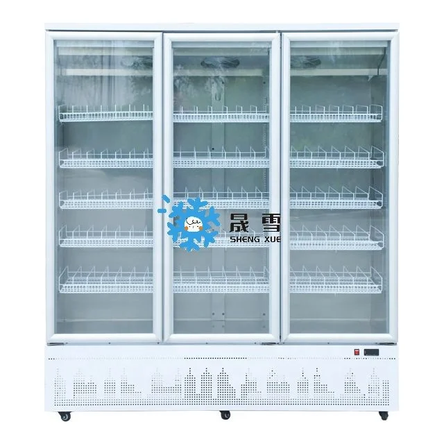 Single-Temperature Vertical Freezer with Glass Door Hypermarket Supermarket Cool Refrigerator for Displaying Frozen Chicken