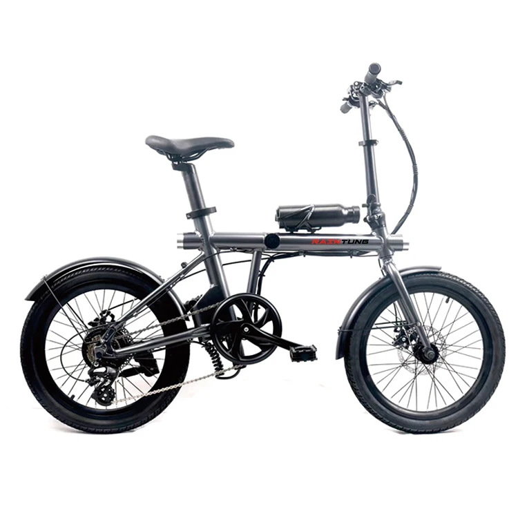 RAINTUNG Ebike Folding Bicycle 20 Inch Folding Electric Bike 250W Portable Electric Foldable