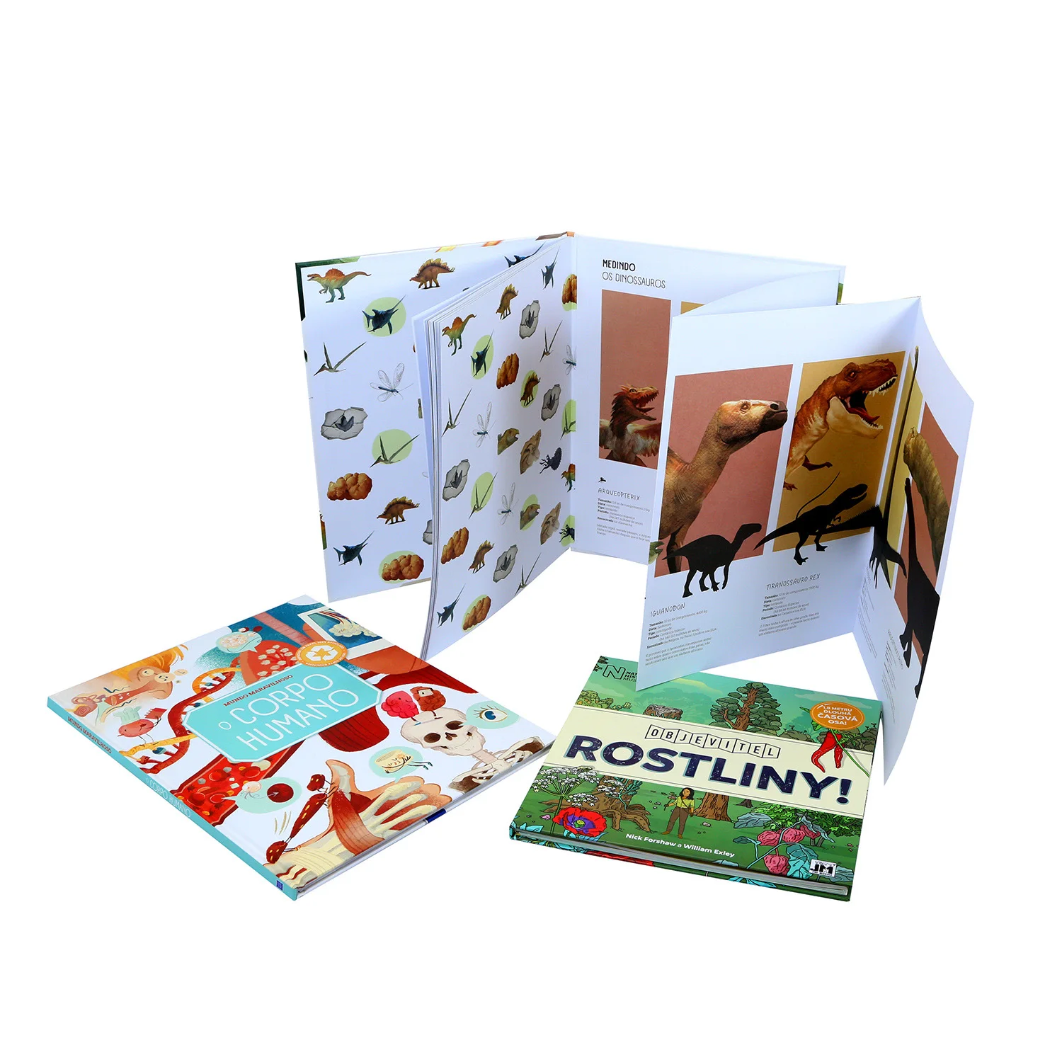 Customized Wholesale colorful Child board book with concertina folding and case bound binding