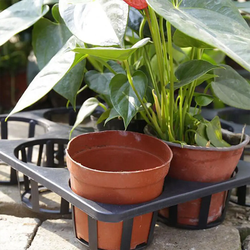 298 Phalaenopsis Plastic Flower Pot Feet Tray New Black Seedling Bracket Planting Tray 12-Hole 15-Hole Plastic Flower Rack