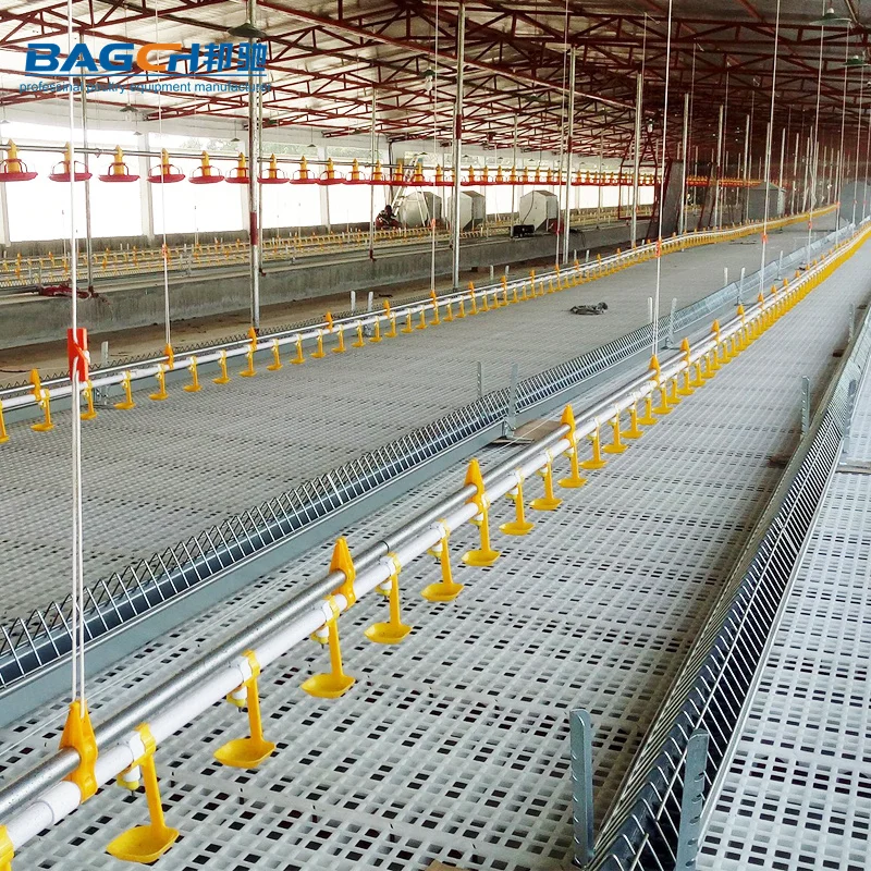Автоматическая раскладка гнездо для сборщика курицы разведения большая коробка 160 куриц
