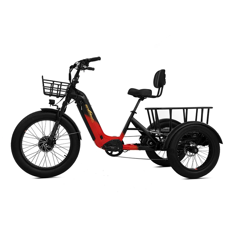 Лучший двухмоторный трехколесный электрический велосипед 48 В с датчиком крутящего момента bafang step thru electrike 2000 Вт 40ah двойные батареи triciclo