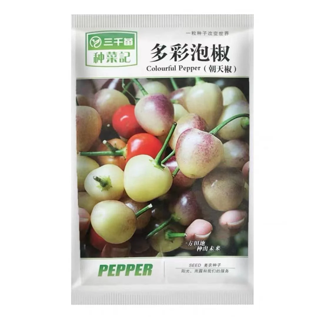 Wholesale 300g/bag Purple Rainbow chili Hot Pepper Vegetable Seeds for Planting