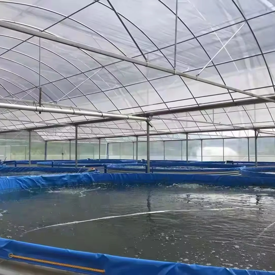 Фабричная рыба и креветки и краб RAS Tilapia, сельскохозяйственная рыболовная система, оборудование для аквакультуры, сельскохозяйственные резервуары