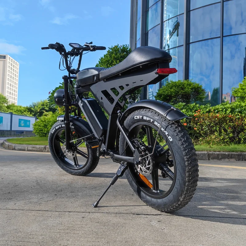 V30 Pedal Assist Electric Bike Bicycle Fat Tire Ebike 2 Wheel Drive Electric Bike 250w 750w Import Electric Bikes from China