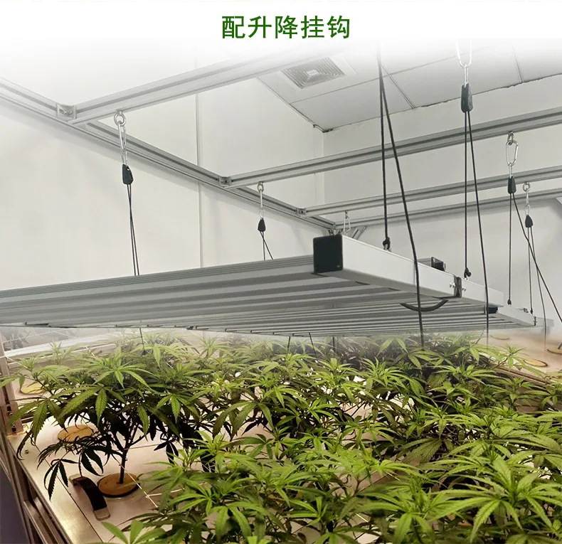 2023 ETL Sambead lm301b Full Spectrum 600w 900w 1000w Light Grow LED
