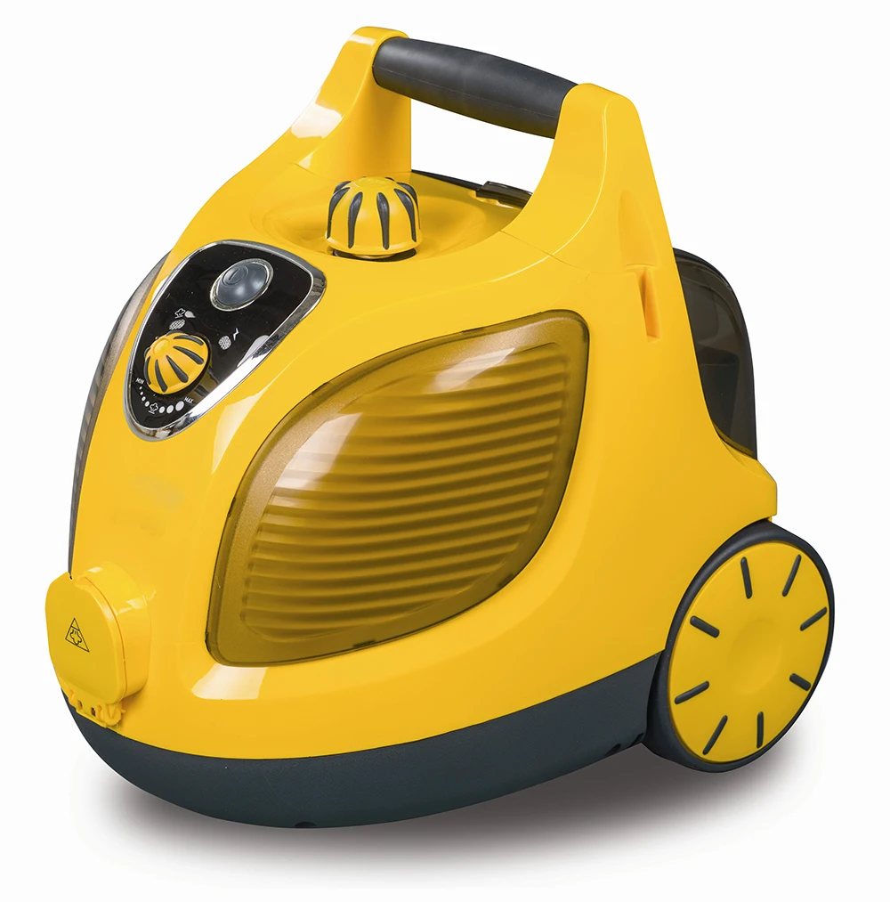 
Professional high pressure steam cleaner with alternative iron 