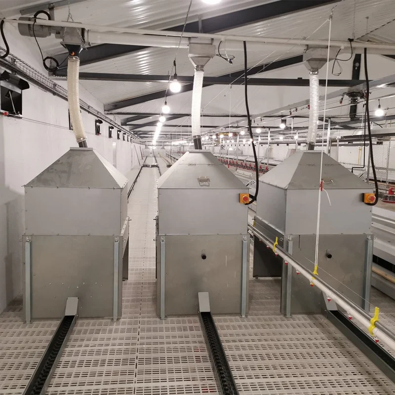 Automatic Breeding Female Chicken Feeder poultry Farming System Chain Feeding Line Hens Broiler Breeder House Equipment