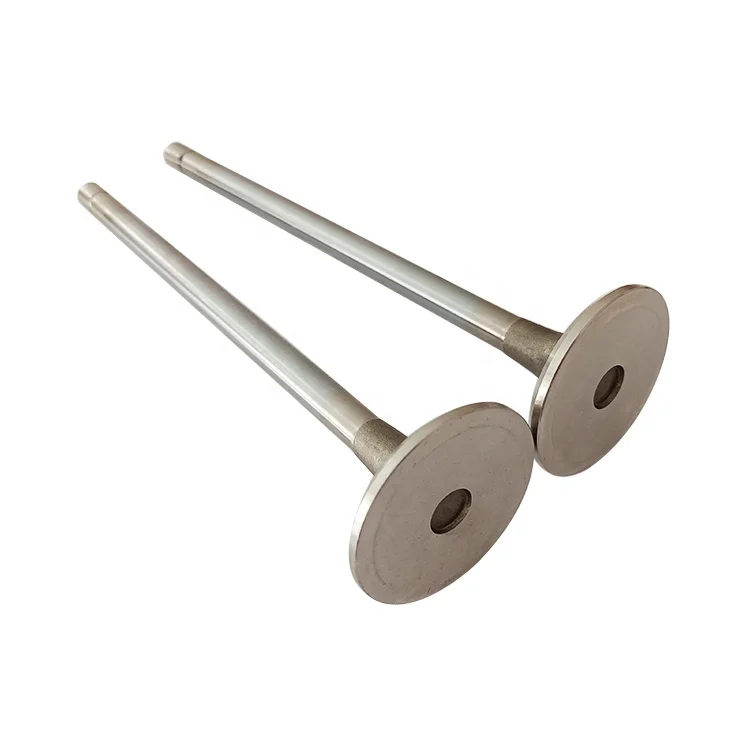 Construction Machinery Heavy Vehicle Engine N14 Exhaust Valve 3800891 3166410