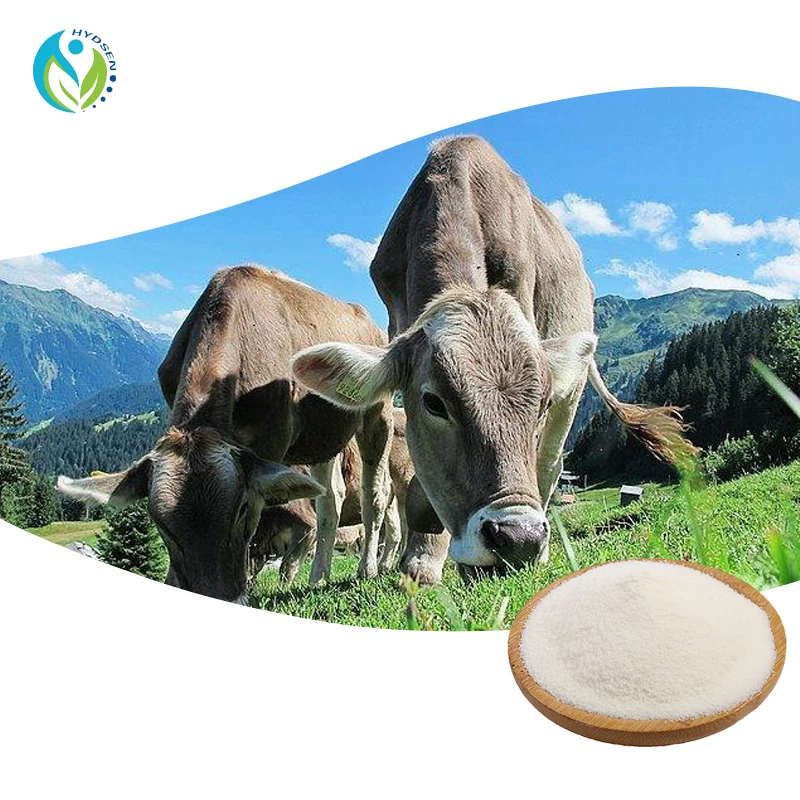 Customized Animal Collagen Hydrolyzed Bovine Beef Collagen Peptide For Increase Bone Density