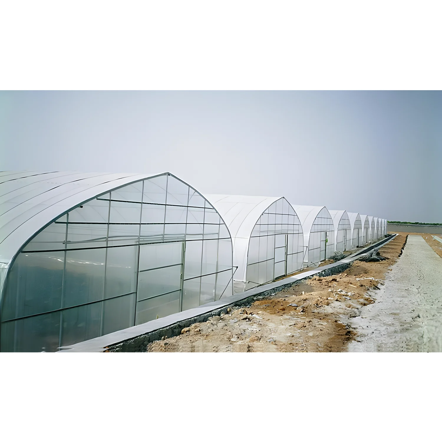 High Strength Commercial Agricultural Equipment Hydroponic Drip Irrigation Tomato Poly Tunnel Film Greenhouse