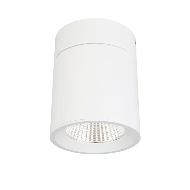 customize size Round Surface Mounted dali module architectural recessed frameless listed led spotlight downlight