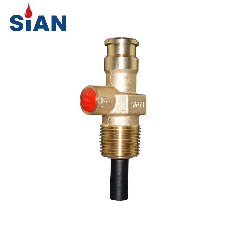 SiAN Safety Valve Factory Liquid Petroleum Gas Compact Cylinder Valve 22mm LPG Gas Propane Tank D22 Self-closing Valves
