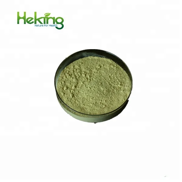 Free Sample Hops Flower Extract Powder Beer Hops Extract 1%-5% Xanthohumol