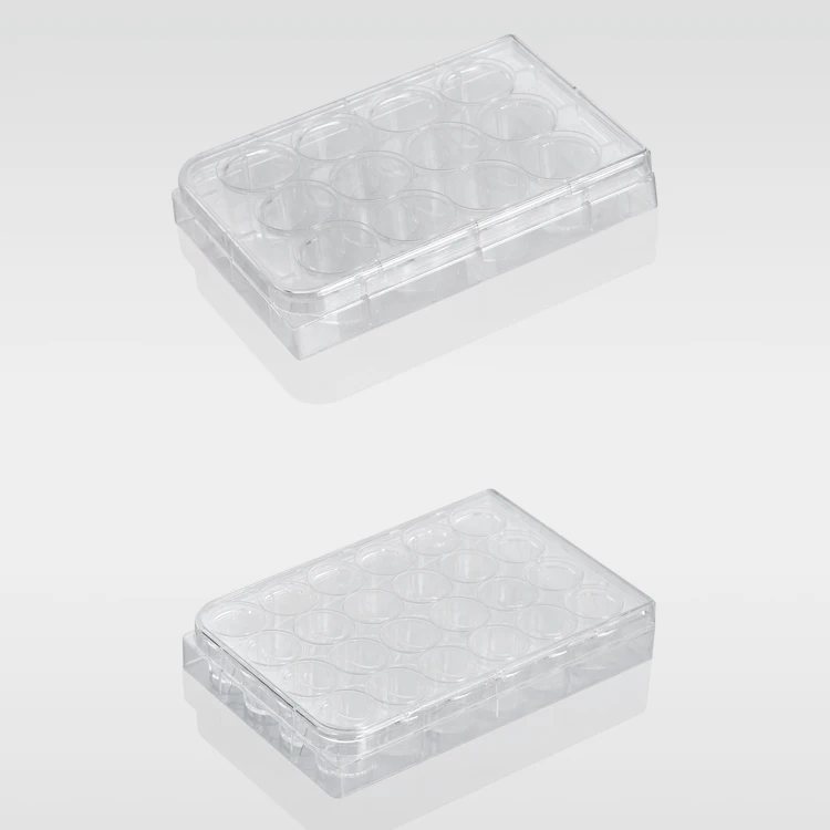 Medical PS material disposable 24 well cell culture plate