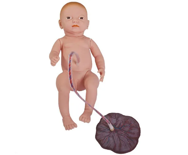 BIX/123 Neonatal with placenta care model