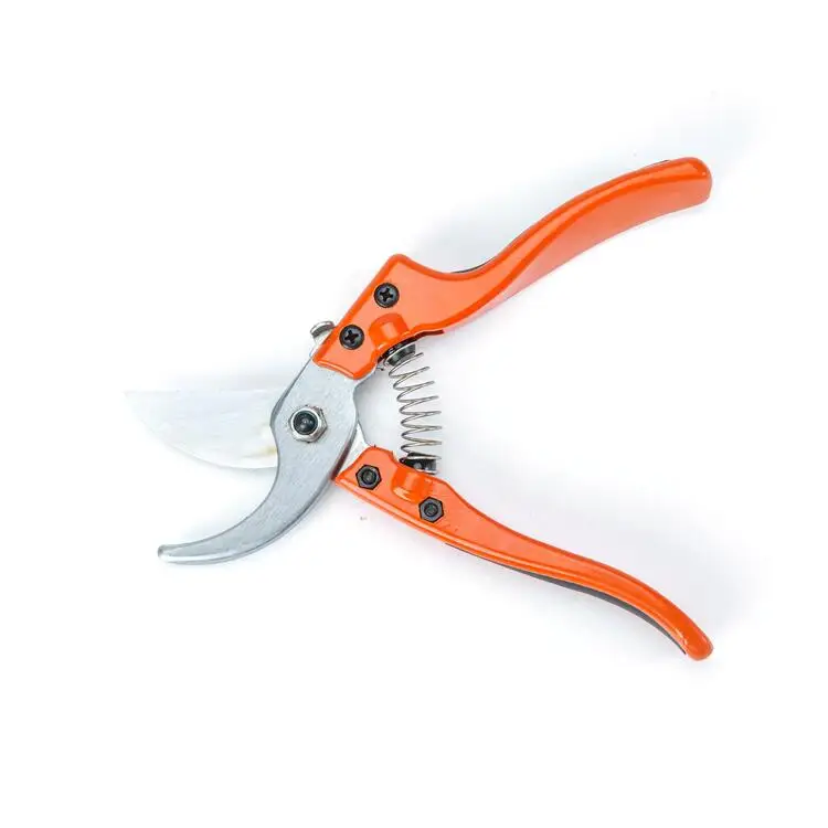 Bonsai Spring Gardening Grape Curved Tree Scissors Pruning Shears 25mm Pruner Garden Scissor Pruning Shears Flower Bonsai Tools