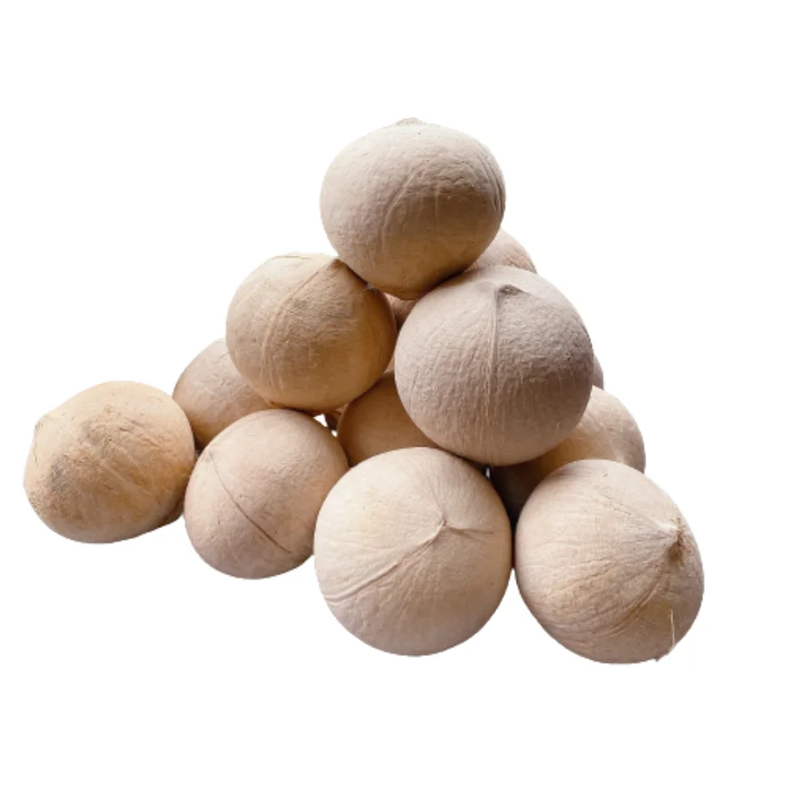 FRESH YOUNG FULLY HUSKED COCONUT FROM VIETNAM/FULLY HUSKED COCONUT WITH GOOD PRICE FROM EXPORTER VIETNAM