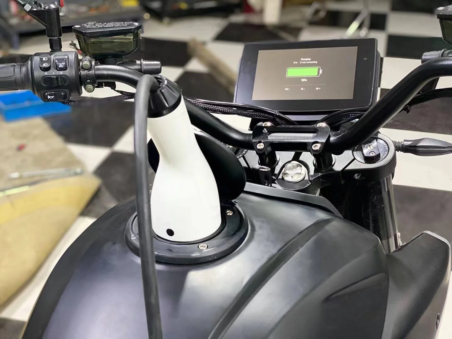 133v High Speed Central Motor Electric Motorcycle Alrendo High Performance with Water Cooling System