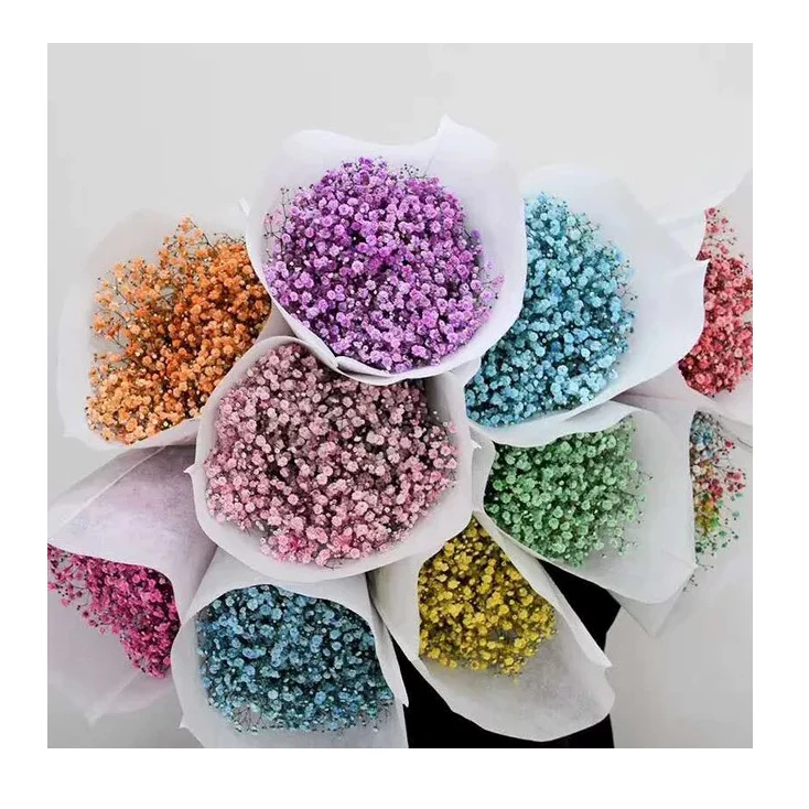  Подставки для расположения цветов сохраненный цветок gypsophila eternell декоративные листья натуральный
