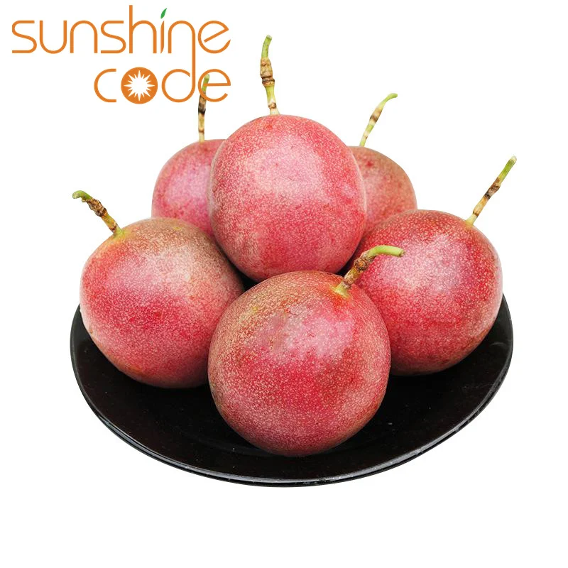 Sunshine Code fresh passion fruit purple passion fruit from brazil fruit de ma passion