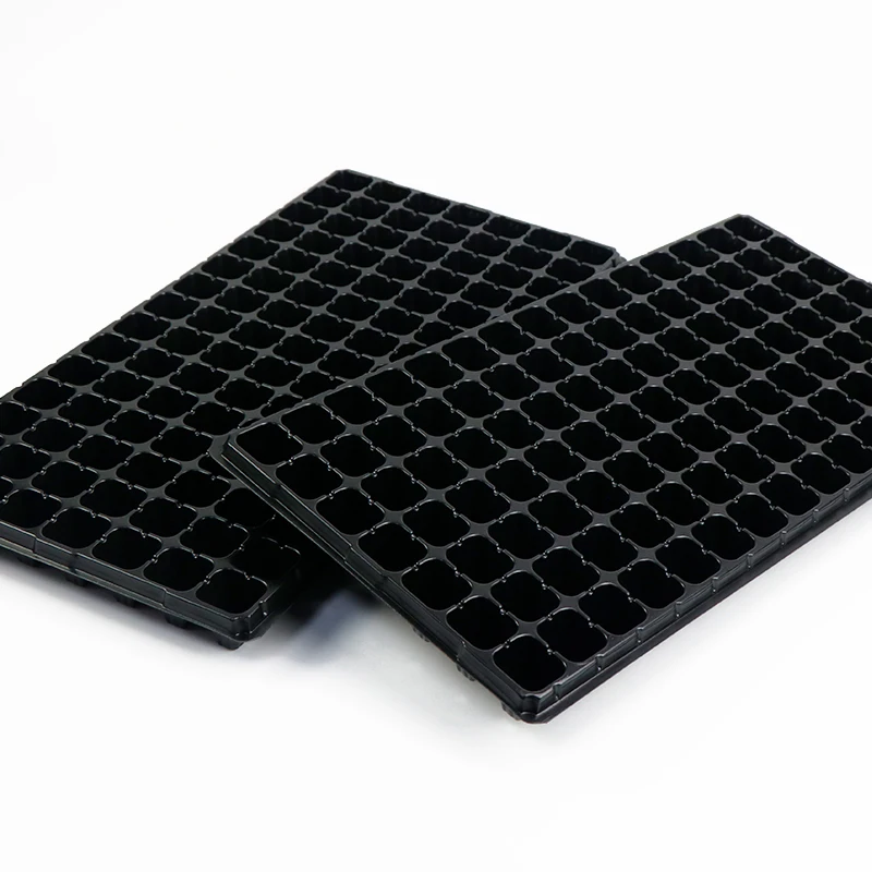 Nursery Vegetable Seed Trays Reusable Plant Germination Chamber For Seed Starting Sprouter Starter Tray In Guanghzou