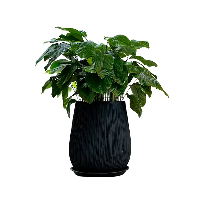 Factory Price PC1247-17034 Fiberglass Pot	Medium Large Size Flower Pot For Green Plant