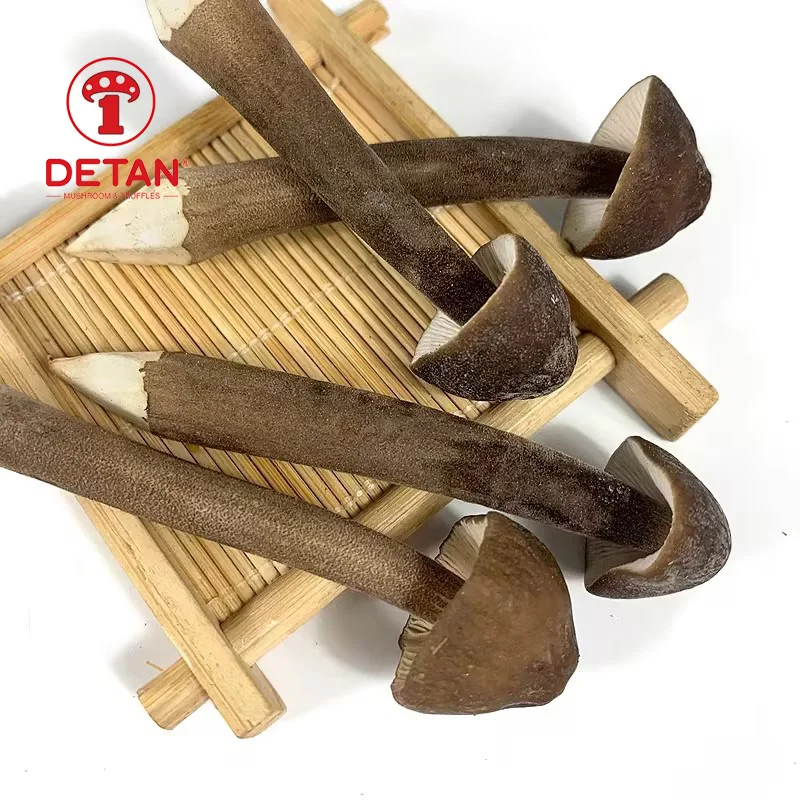 DETAN High quality Black Royal Chestnut Fresh Collybia albuminosa