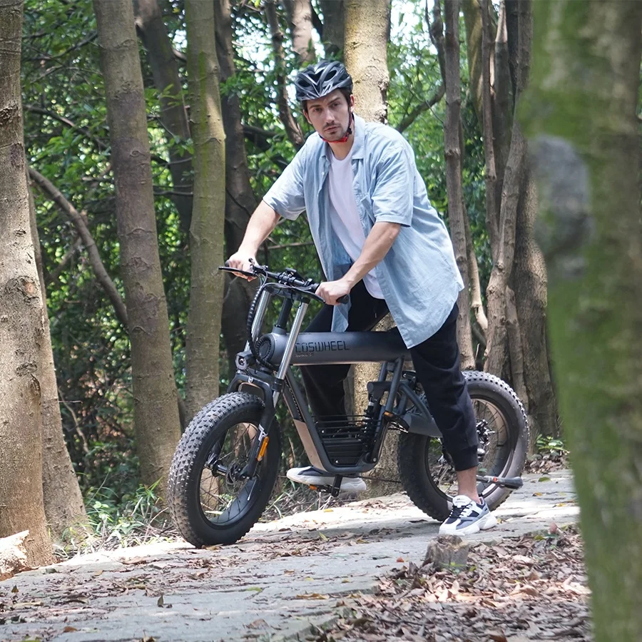 T20 Coswheel 2 seat electric bike rechargeable 20 inches big wheel size cycling 500W 48V Electric Bike