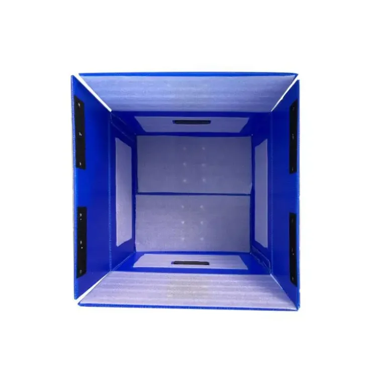 Customized Collapsible PP Hollow Plastic Container for Storage & Packaging Turnover Box for Medical Use in Australia