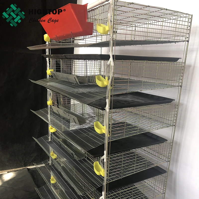 Коммерческий 6 ярус 12 ячеек низкоуглеродистая сталь Q235 перепелиные клетки для яйценоскость