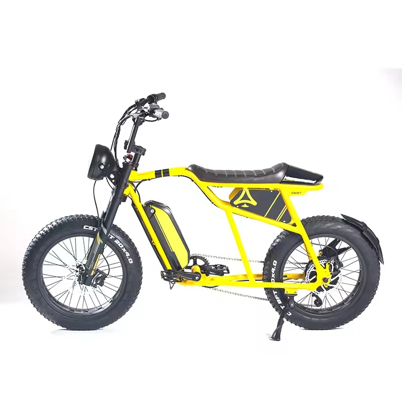 High Quality Hydraulic Disc Brake Dirt Electric Motorcycle Fat Tire Mountain Electric Bike Bicycle